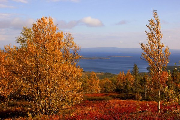 Кольский полуостров осень