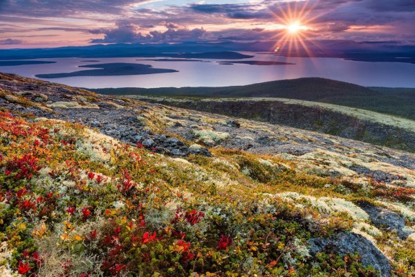 Тундра Мурманск Териберка