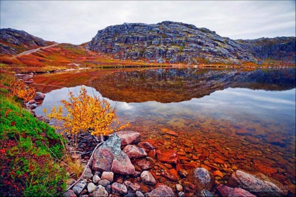 Мурманск горы Хибины осень