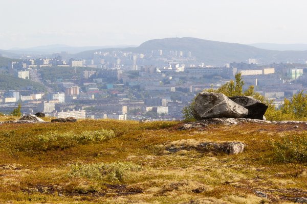 Мурманск природа лето