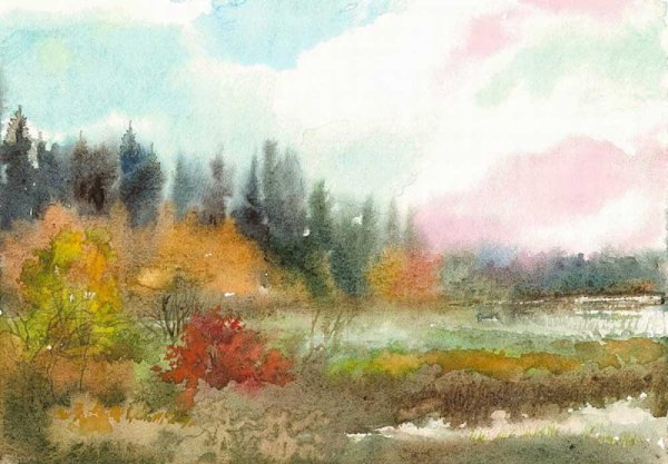 Николай Михайлин художник акварель