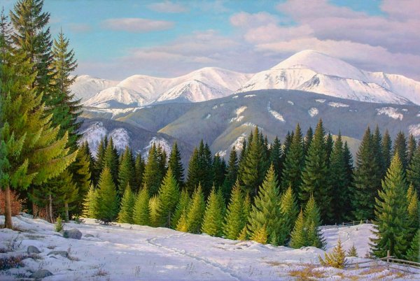 Еловый лес горы Норвегия