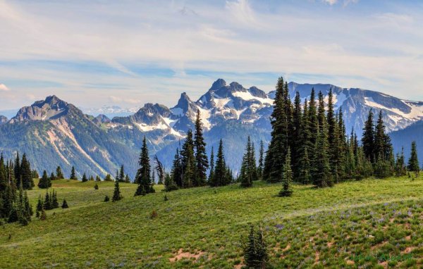 Кедрово-Пихтовая Тайга