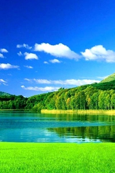 Чистая природа