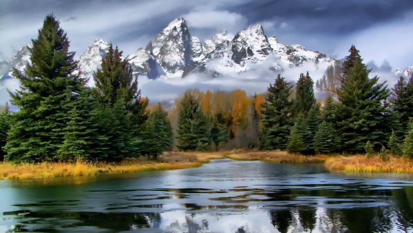 Красивая природа