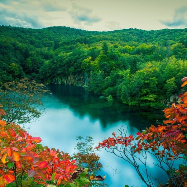 Природа в картинках