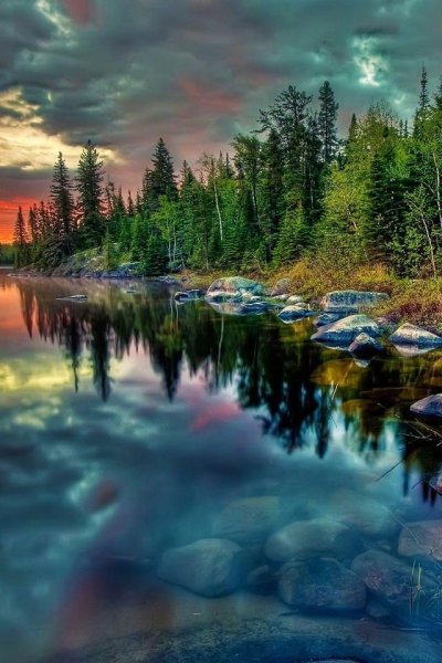 Заставка на телефон природа необычная