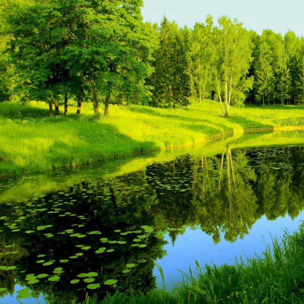 Пейзаж лето