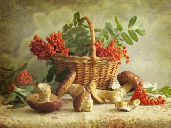 Натюрморт на фоне природы