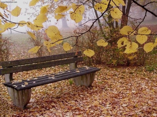 Пейзаж со скамейкой