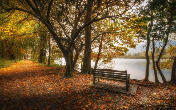 Осень парк пруд