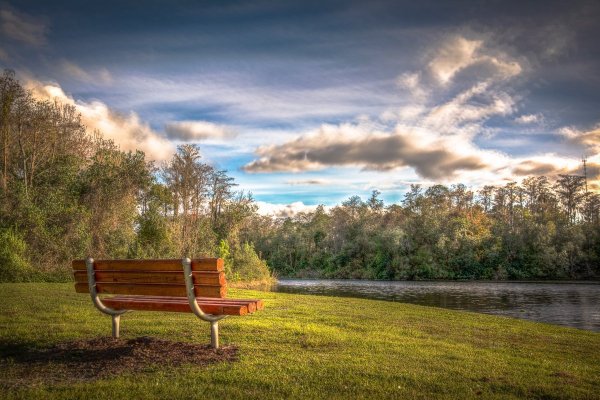 Осень парк лавочка озеро