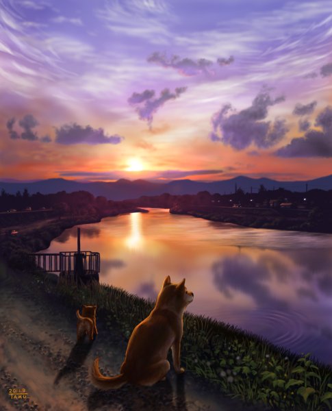 Красивые пейзажи с котиками