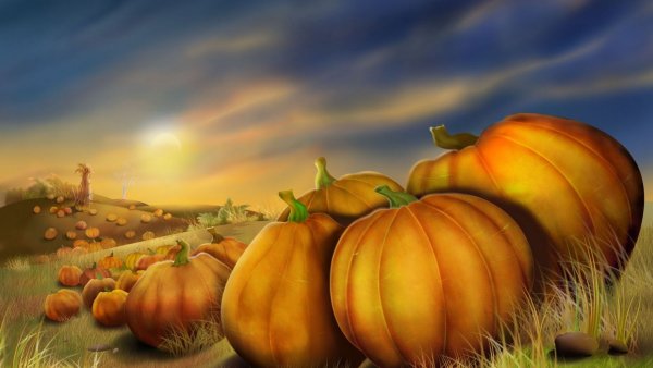 Красивый осенний пейзаж с тыквой