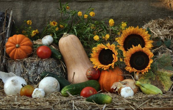 Натюрморт осенний урожай