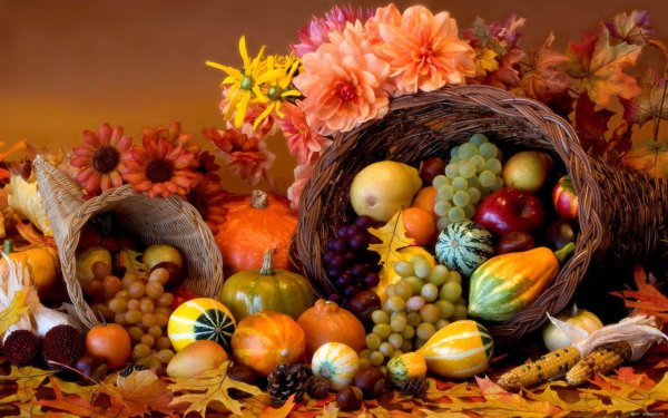 Осенние дары природы