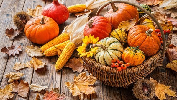 Осенняя корзинка с фруктами