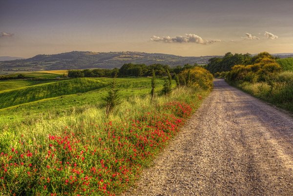 Полевая дорога Тоскана