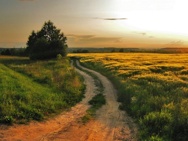 Сельская Проселочная дорога