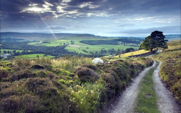 Штирийско-бургенландская Холмистая равнина