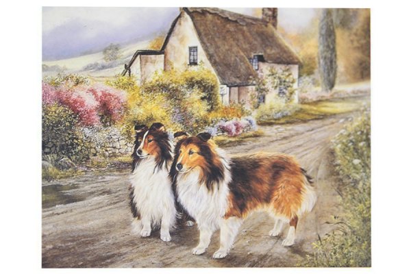 Картина по номерам колли