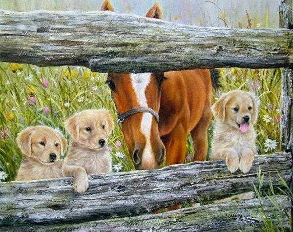 Shirley Deaville картины