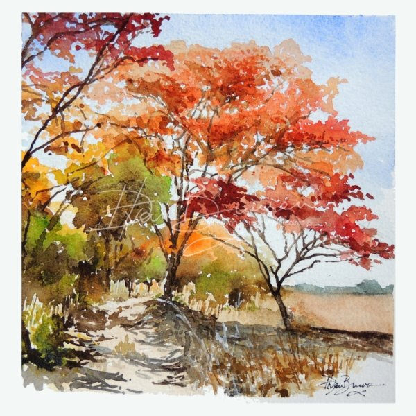 Акварель деревья осенью