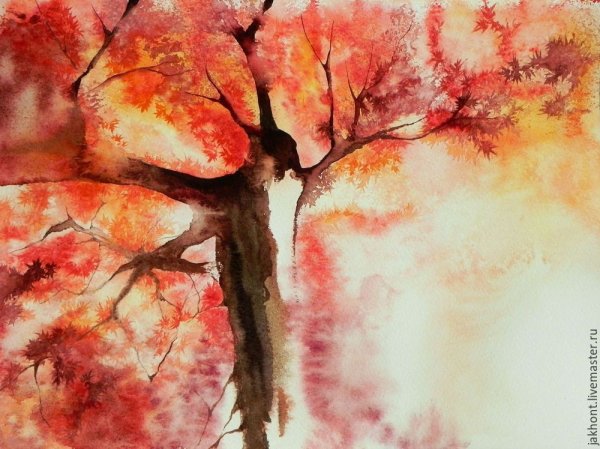 Осеннее дерево акварелью