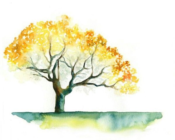 Осеннее дерево акварелью