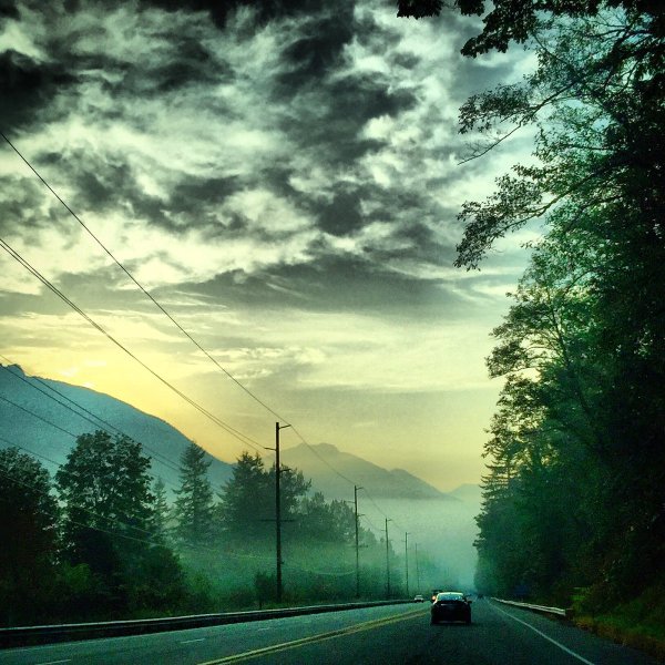 Твин пикс лес