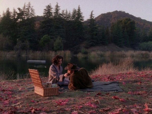 Твин пикс / Twin Peaks (1990)