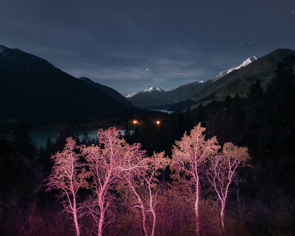 Твин пикс пейзажи