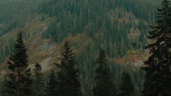 Твин пикс горы