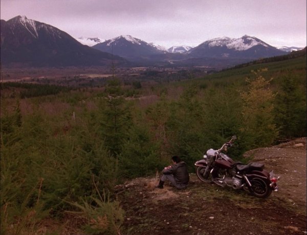 Добро пожаловать в Твин пикс