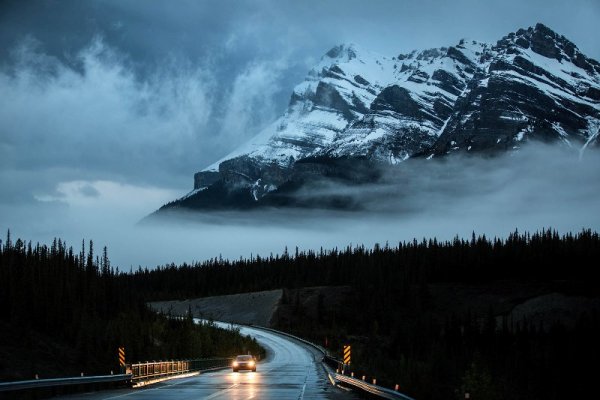 Твин пикс пейзажи