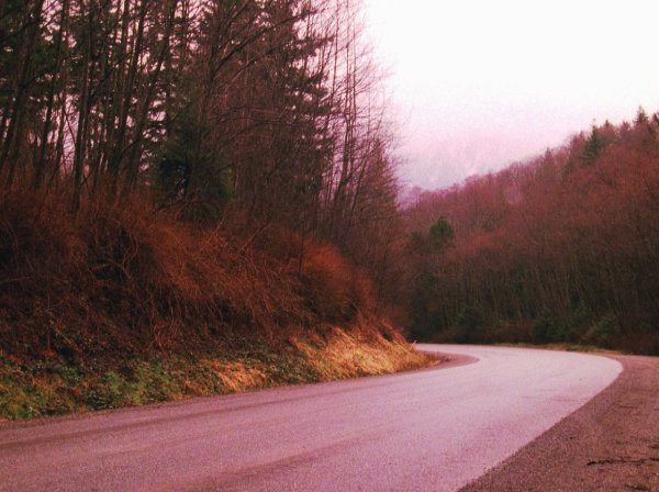 Леса Твин пикс