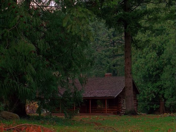 Твин пикс пейзажи