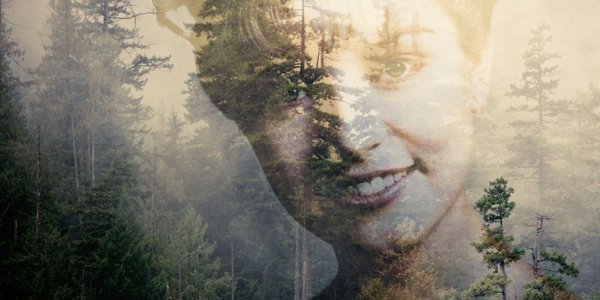 Твин пикс лес