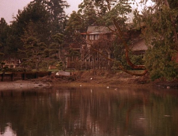 Твин пикс город