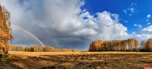 Осенняя Радуга