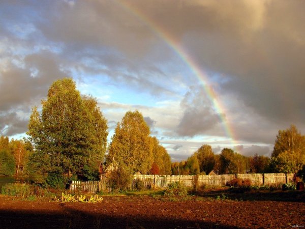 Осень дождь Радуга
