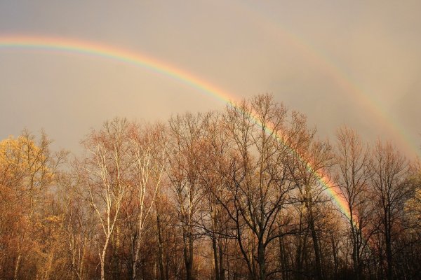 Радуга в осеннем лесу