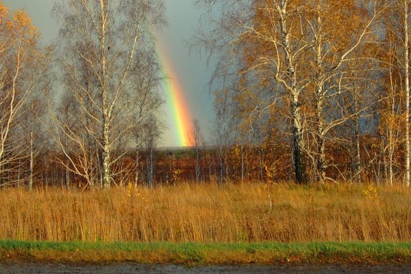 Осенняя Радуга