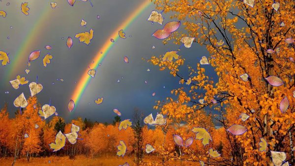 Осень дождь Радуга