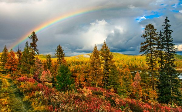 Осень Радуга