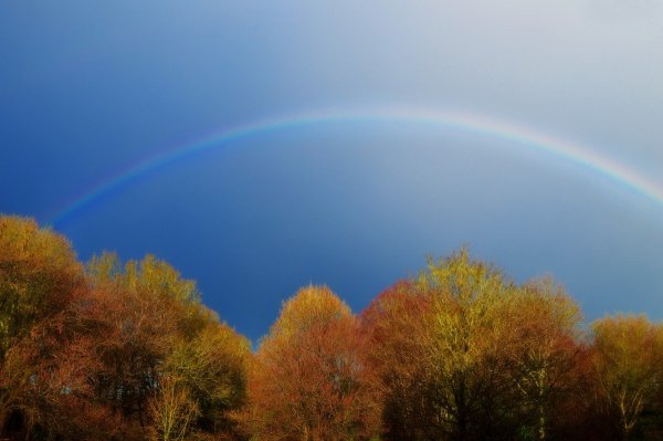 Весенний пейзаж с радугой