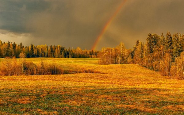 Осенние краски природы