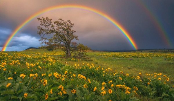 Тютчев Радуга