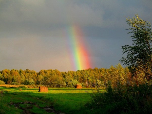 Осень дождь Радуга