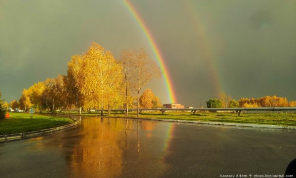 Краски природы
